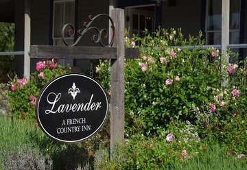 Photo of Lavender Dreams Bed and Breakfast Cottage