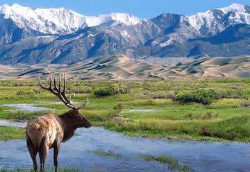 Photo of Great Sand Dunes