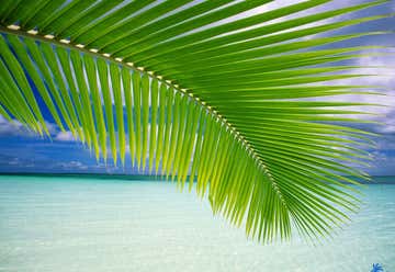 Photo of Ocean Palms Beach Resort
