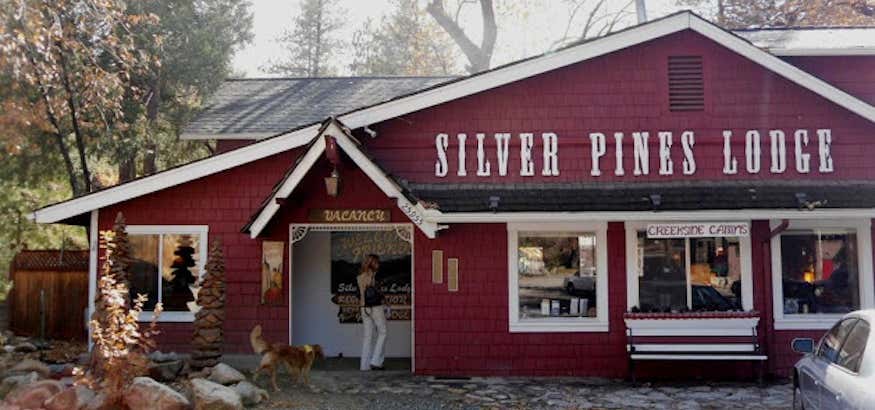 Photo of Silver Pines Lodge