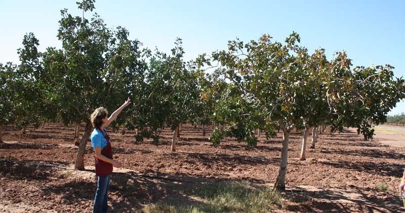 Eagle Ranch, Alamogordo Roadtrippers