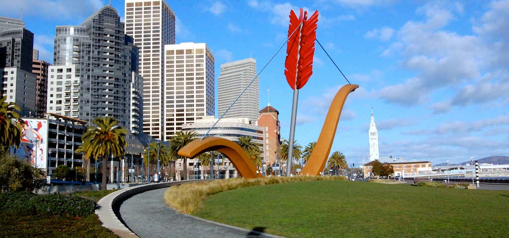 Photo of Cupid's Span