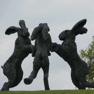 Giant Dancing Rabbits