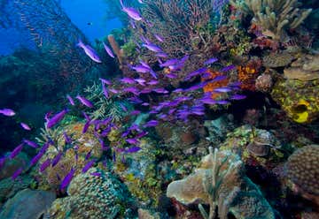 Photo of Belize Barrier Reef Reserve System