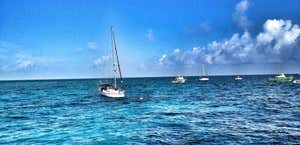 Key Largo Princess Glass Bottom Boat