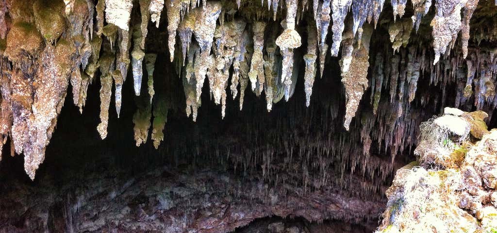 Photo of Rawhiti Cave