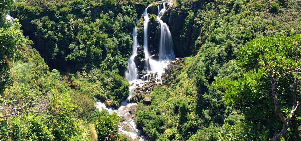 Photo of Waipunga Falls