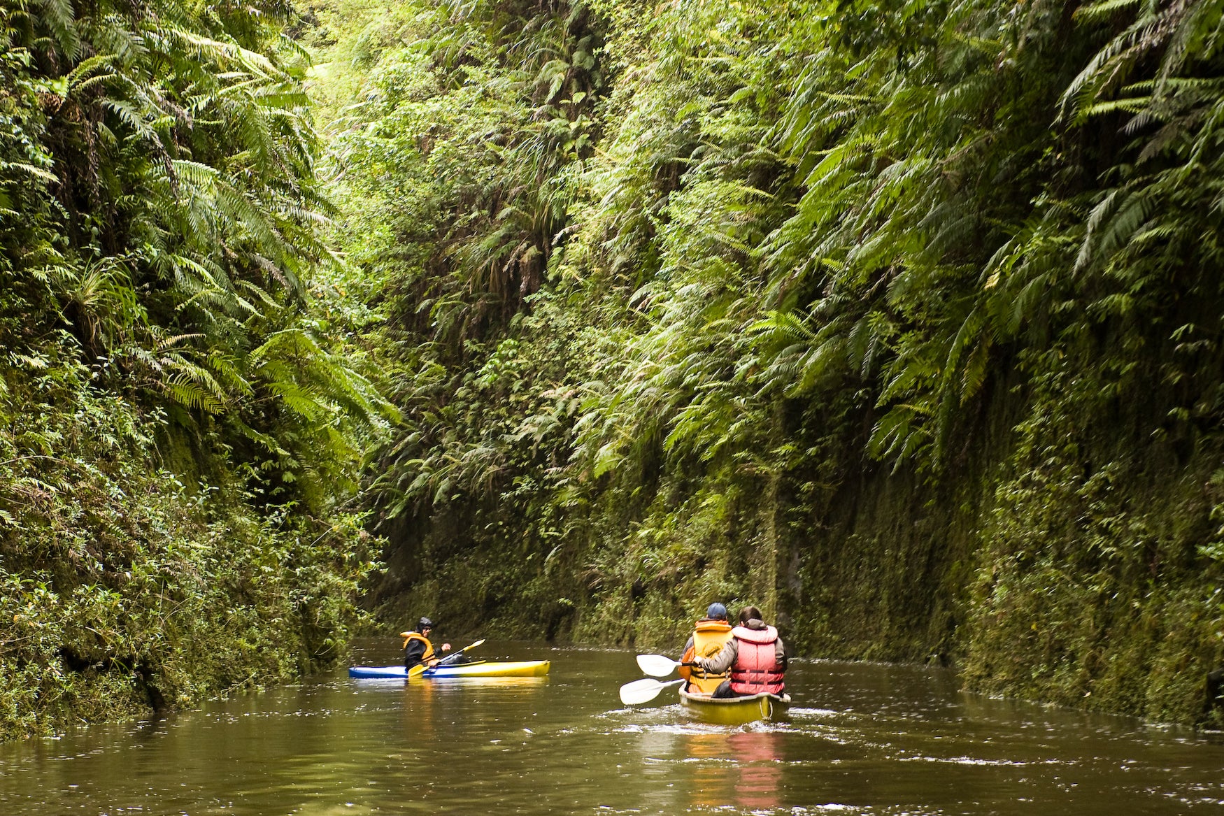 Exploring the Whanganui River
