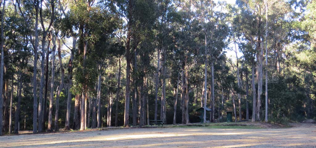 Photo of Scrubby Creek Forest Picnic Area