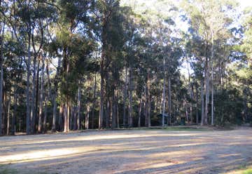 Photo of Scrubby Creek Forest Picnic Area