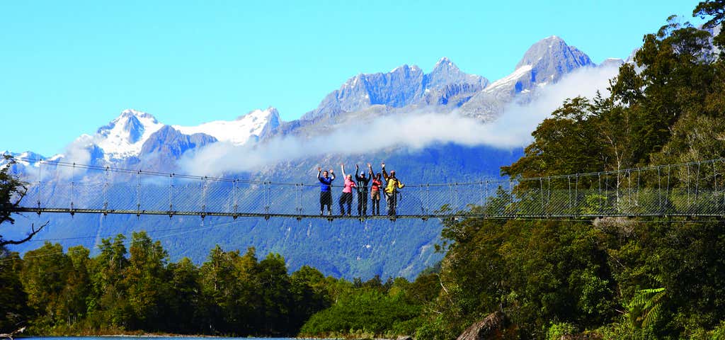Photo of Hollyford Track 3 Day Guided Walk