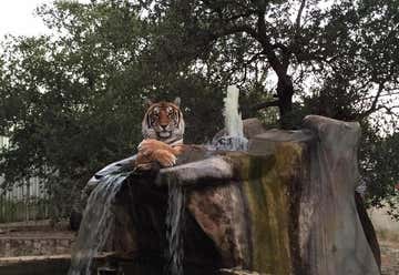 Photo of Austin Zoo & Animal Sanctuary